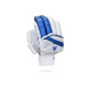 Whitedot Brave 17.0 Cricket Batting Gloves