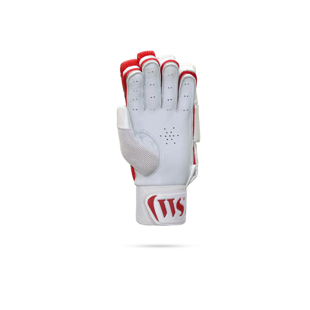 Whitedot Brave 22.0 Cricket Batting Gloves