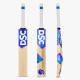 DSC BLU 33 Kashmir Willow Cricket Bat