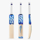 DSC BLU 550 English Willow Cricket Bat