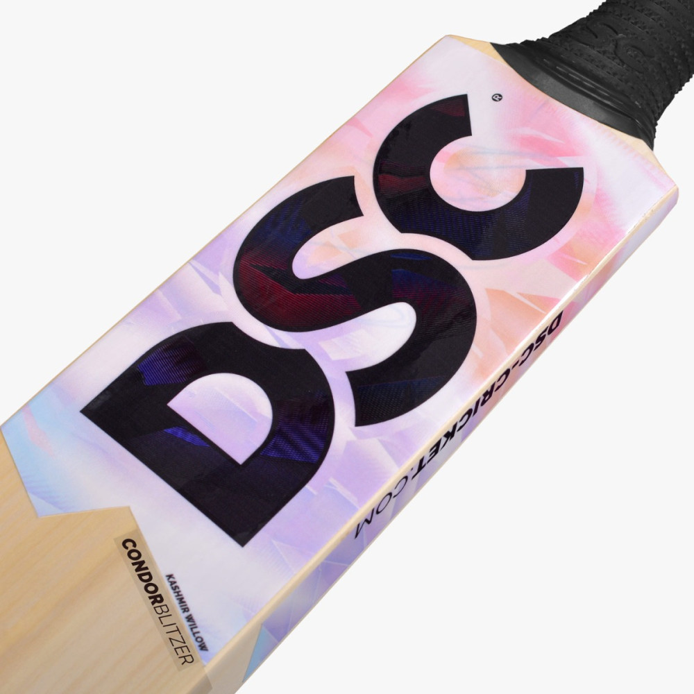 DSC Condor Blitzer Kashmir Willow Cricket Bat