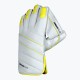 DSC Condor Flite Wicket Keeping Gloves