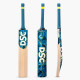 DSC Drake Kashmir Willow Cricket Bat