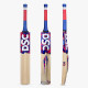 DSC Intense Spirit Kashmir Willow Cricket Bat