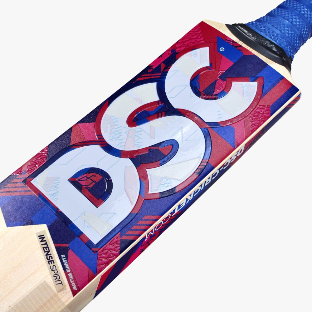 DSC Intense Spirit Kashmir Willow Cricket Bat