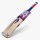 DSC Intense Zeal Kashmir Willow Cricket Bat