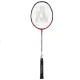 Ashaway Palladium XT 300 Badminton Racket
