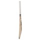 SG Roar LE English Willow Cricket Bat