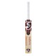 SG Roar Ultimate English Willow Cricket bat
