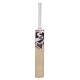 SG RSD Plus Kashmir Willow Cricket Bat