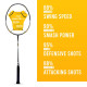 Young Fury X Power (Full Graphite, 30 LBS) Unstrung Badminton Racquet with Full Cover (Black Gold)