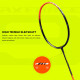 Li-Ning AX Force 9 Badminton Racket