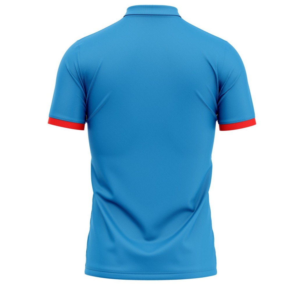 Afghanistan ODI World Cup 2023 Half Sleeves Cricket Fan Jersey - 100% Dryfit Polyester - With Name Personalisation