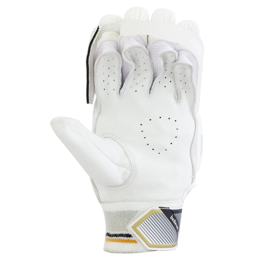SG HP Armor Cricket Batting Gloves