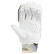 SG HP Armor Cricket Batting Gloves