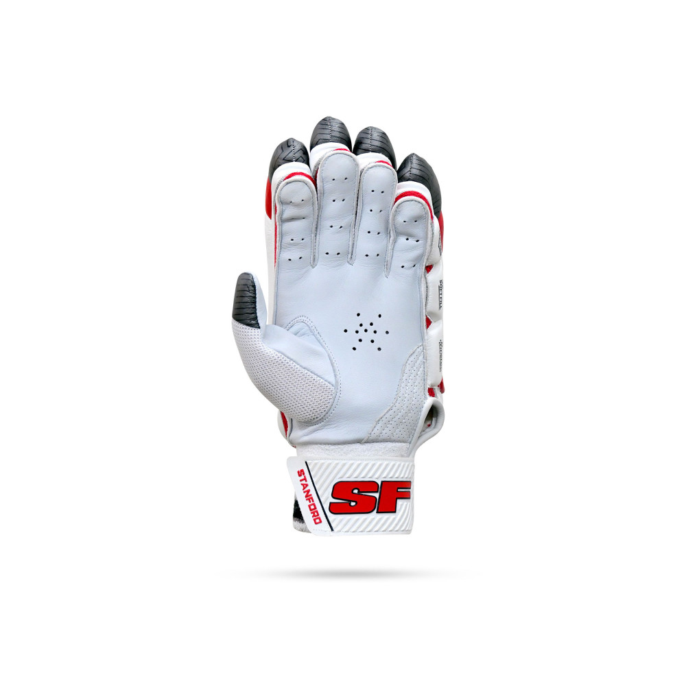Stanford Test Cricket Batting Gloves