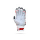 Stanford Test Cricket Batting Gloves