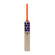 SS Cannon Kashmir Willow Cricket Bat