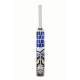 SS Master 100 Kashmir Willow Cricket Bat