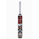SS Master Kashmir Willow Cricket Bat