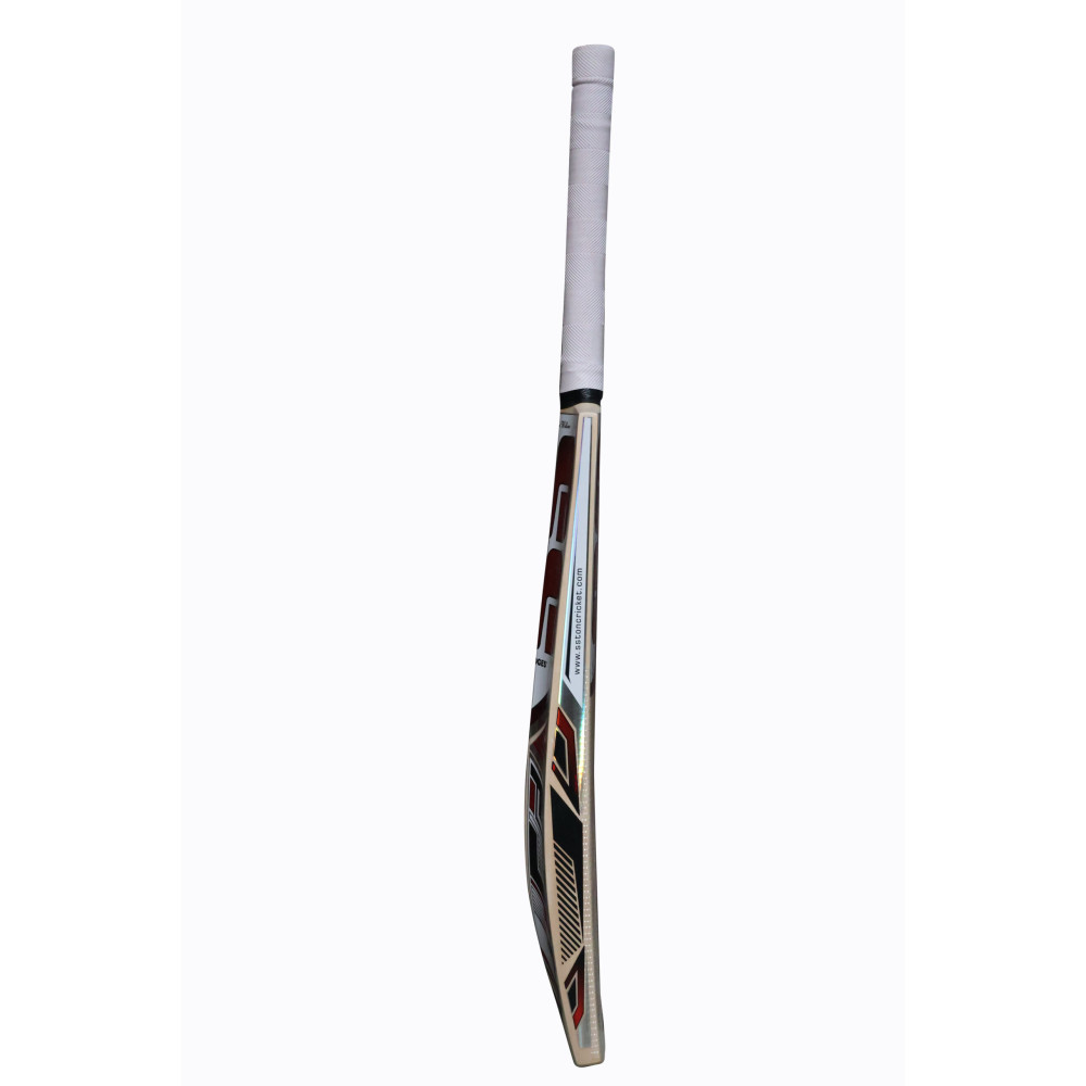 SS Master Kashmir Willow Cricket Bat