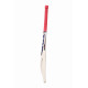 SS Ton Reserve Edition Kashmir Willow Cricket Bat