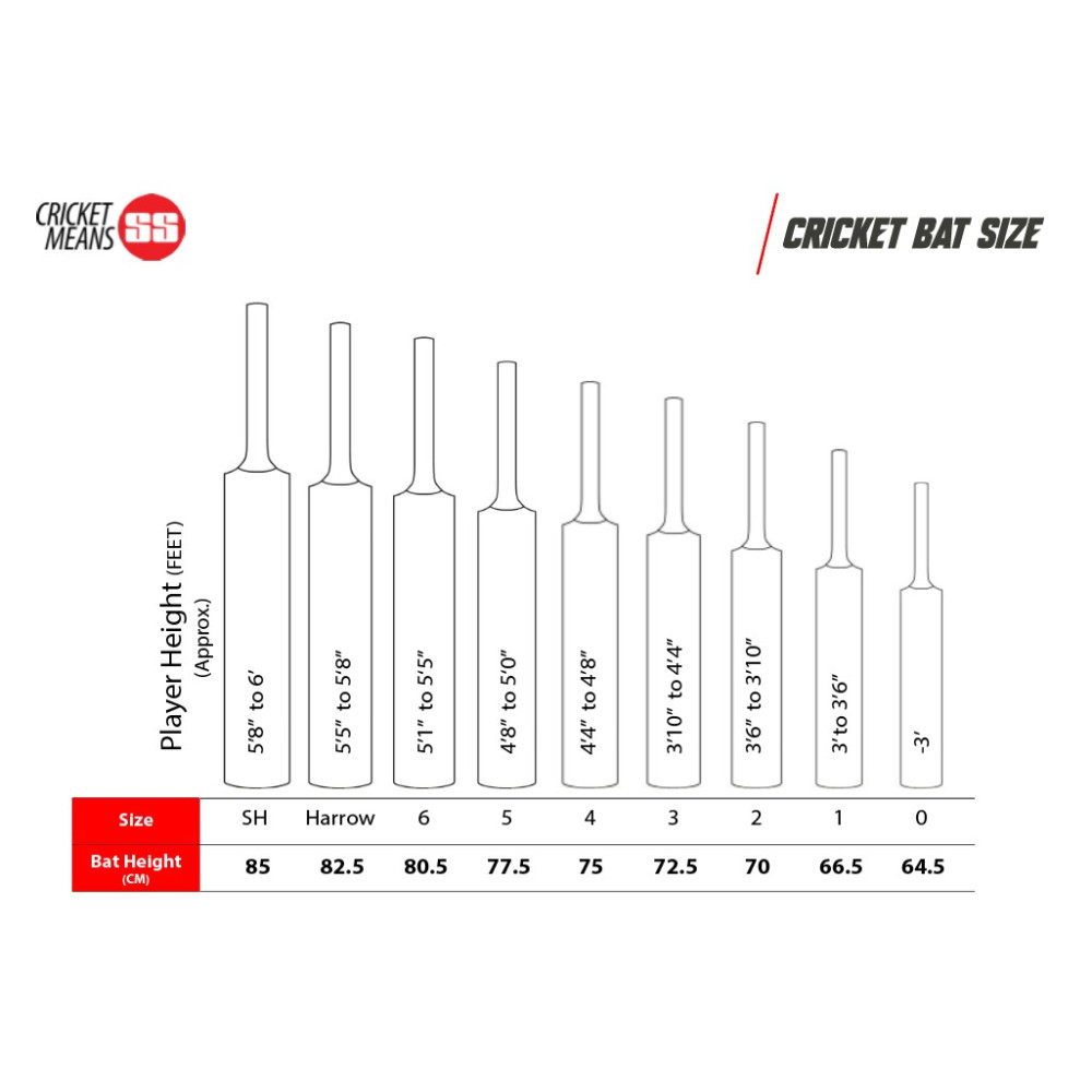 SS Master Kashmir Willow Cricket Bat