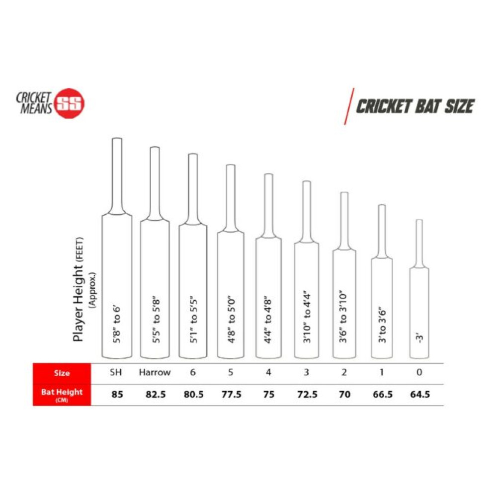 SS Magnum Kashmir Willow Cricket Bat