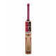 SS Gladiator Kashmir Willow Cricket Bat