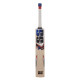 SS I-Bat Kashmir Willow Cricket Bat