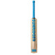 SS Vintage Bolt Kashmir Willow Cricket Bat