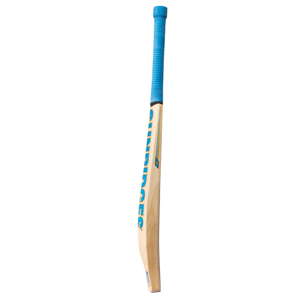 SS Vintage Bolt Kashmir Willow Cricket Bat