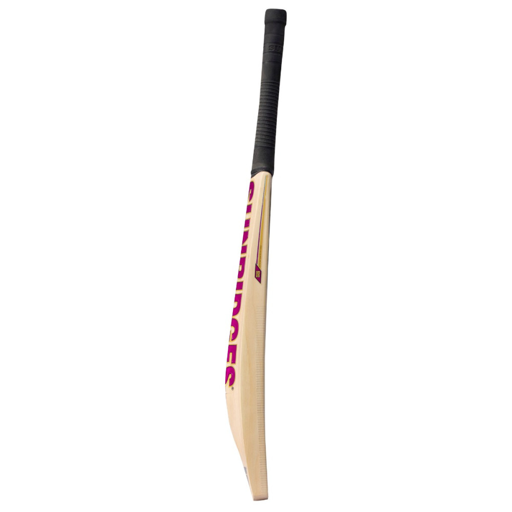 SS Vintage Platinum Kashmir Willow Cricket Bat
