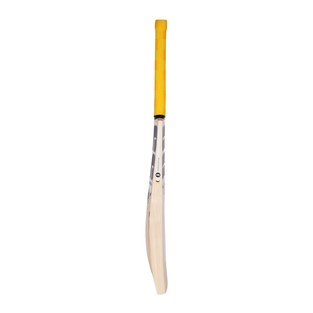 SS Sangakara Kashmir Willow Cricket Bat
