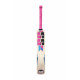 SS Slogger Kashmir Willow Cricket Bat