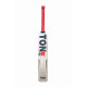 SS Ton Revolution Kashmir Willow Cricket Bat