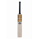 SS World Cup Kashmir Willow Cricket Bat