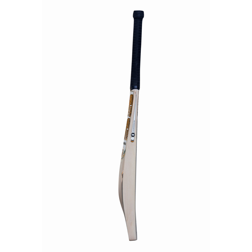 SS World Cup Kashmir Willow Cricket Bat